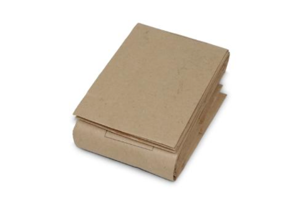 Tennier - CarpetMaster Replacement Dust Bags (10 pieces, 2 Filters) - Vacuums